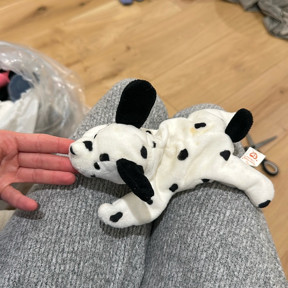 dotty beanie baby